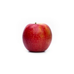 Red Dilicious Apple